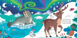 Usborne Así suenan Los Animales Salvajes*Niños Libros Musicales Y Con Sonido|Libros Manipulativos