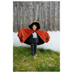 Great Pretenders Capa y sombrero Autumn Wizard · 4-6 •*Niños Disfraces Infantiles
