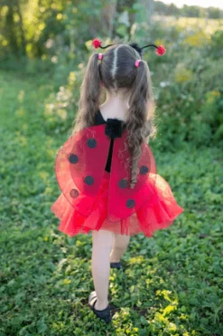 Great Pretenders Disfraz Mariquita Glitter · 4-6 años*Niños Disfraces Infantiles