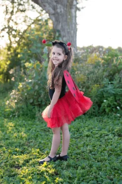 Great Pretenders Disfraz Mariquita Glitter · 4-6 años*Niños Disfraces Infantiles