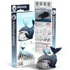 EUGY · Ballena de Groenlandia*Niños Kit De Manualidades