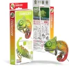 EUGY · Camaleón*Niños Kit De Manualidades