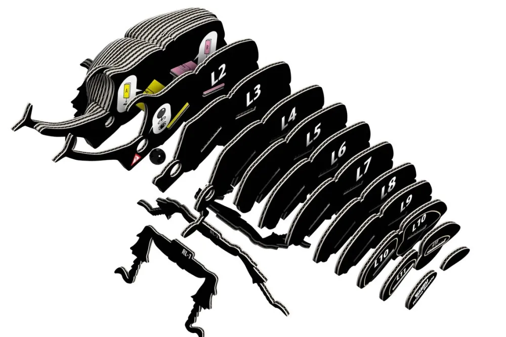 EUGY · Escarabajo Rhino*Niños Kit De Manualidades