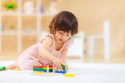 Plantoys Figuras Geometricas*Niños Juguetes Waldorf|Juguetes Montessori