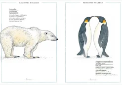 Faktoria K de Libros Inventario Ilustrado de Animales* Álbumes Ilustrados Infantiles
