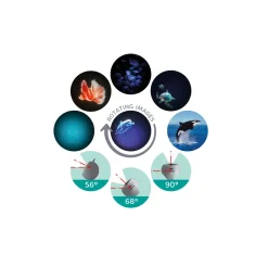 Kidywolf Kidystar ·*Niños Linternas Proyectoras De Cuentos