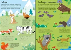 Usborne Libro Puzzle · Animales del Mundo*Niños Puzzles 200 Piezas|Puzzles Con Libro