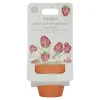 Little Dutch Maceta planta Fresas ·*Niños Juguetes De Toda La Vida