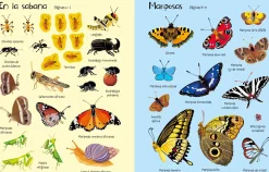 Usborne Mi primer libro de pegatinas · Bichitos* Libros De Pegatinas