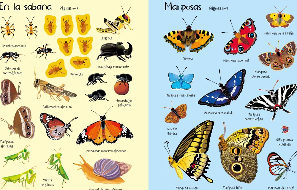 Usborne Mi primer libro de pegatinas · Bichitos* Libros De Pegatinas
