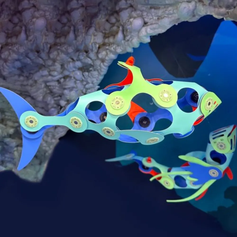 Clixo Ocean Creatures Pack ·*Niños Clixo