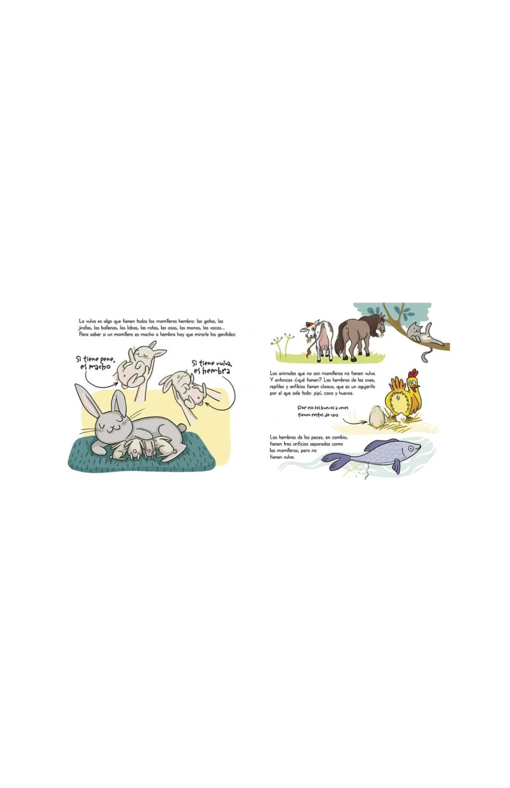 Penguin Kids Se llama vulva* Álbumes Ilustrados Infantiles